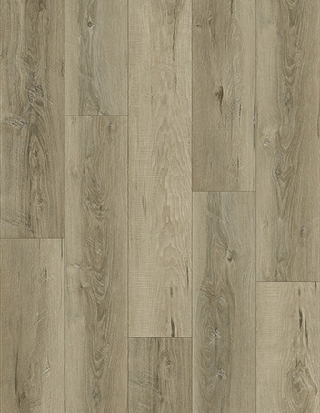 CDW189-09