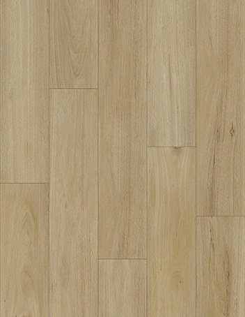 CDW2049L-4