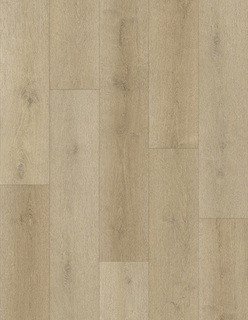 CDW2261L-16