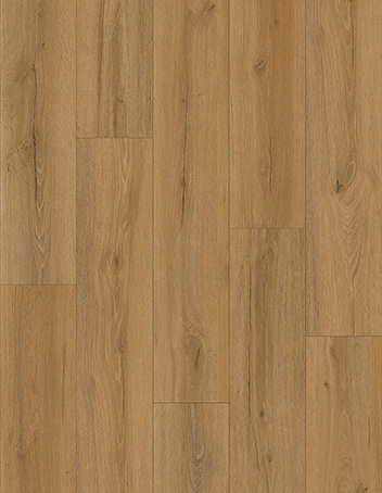 CDW2429E-01