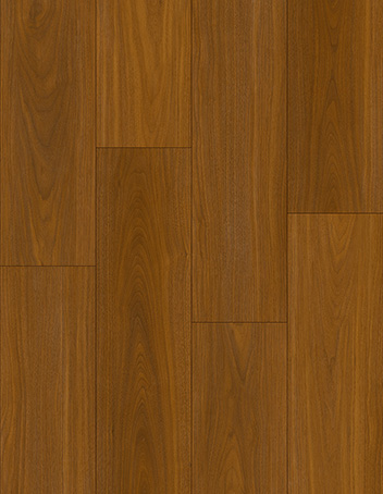CDW2549EL-6