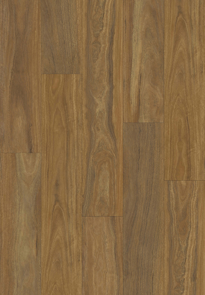 289XL-02.jpg