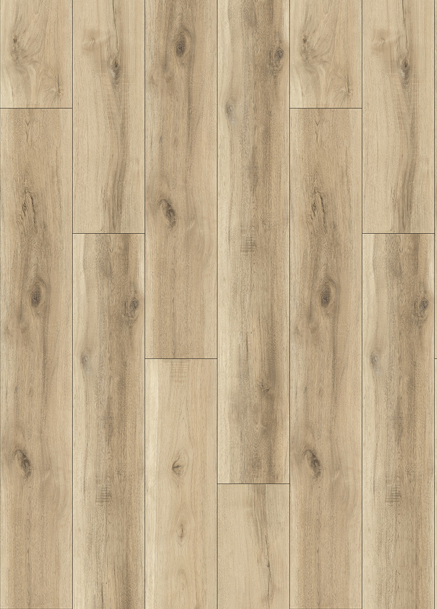 03098L-002.jpg