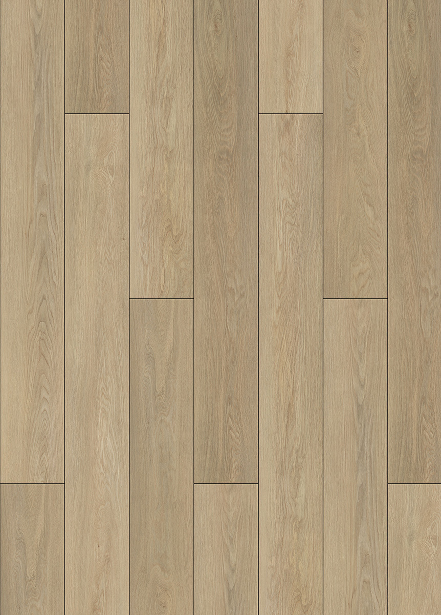 56088L-001.jpg