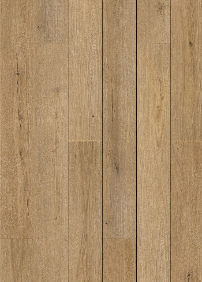 66088L-001.jpg