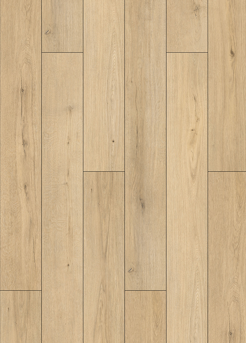 66088L-028.jpg