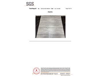 SGS-8