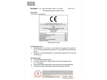 SGS-10
